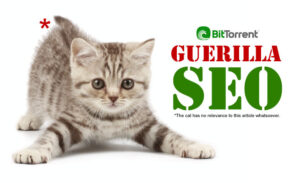 seo guerilla-seo-cat